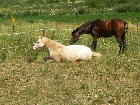 PICT0107.JPG