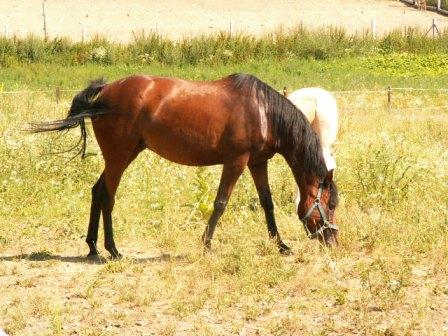 PICT0122.JPG