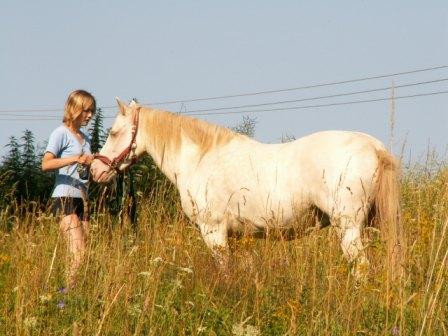PICT0041.JPG