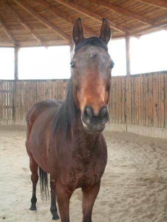 PICT0026.jpg
